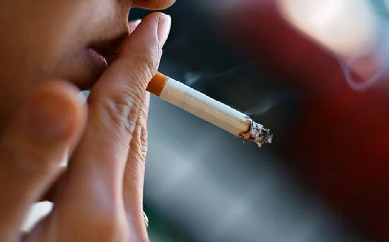 Thế Giới Implant