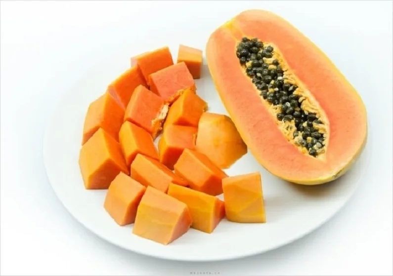 Thế Giới Implant