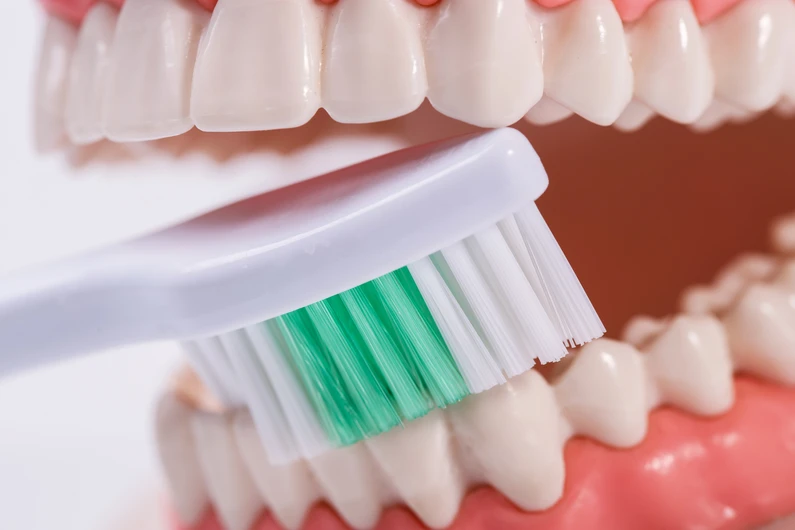 Thế Giới Implant