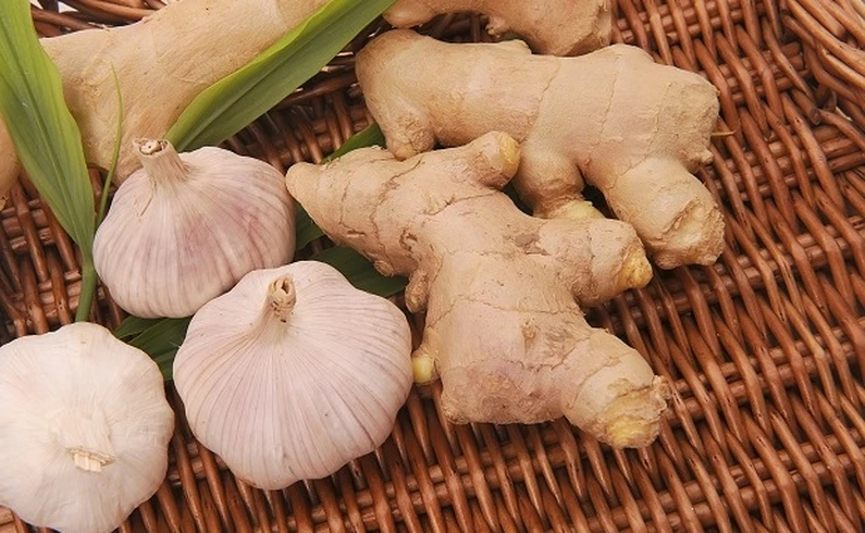 Thế Giới Implant