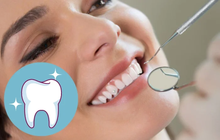 Thế Giới Implant