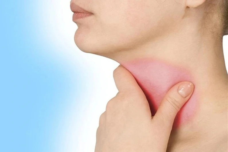 Thế Giới Implant