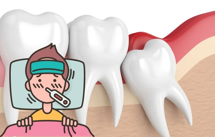 Thế Giới Implant