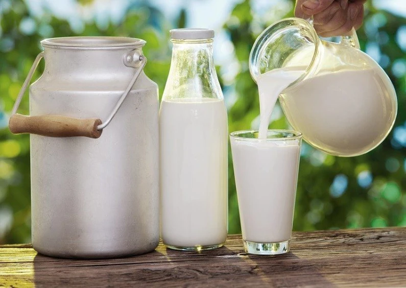 Sữa và những sản phẩm từ sữa đều là những thực phẩm có thể khiến cho vết thương trở nên nghiêm trọng hơn