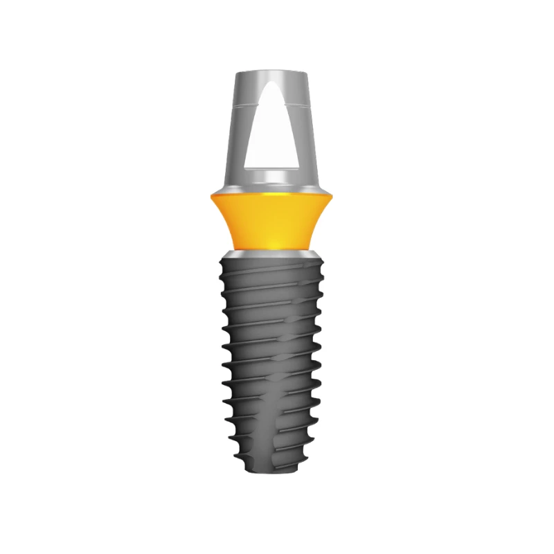 11 DENTIUM MỸ